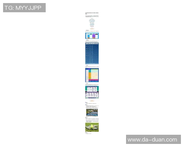 上海网球队在网球耐力排行榜中荣登第六名展现出强大实力与潜力