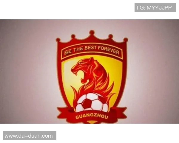 中非足球携手共进推动足球文化交流与发展新篇章 中非足球携手共进推动足球文化交流与发展新篇章