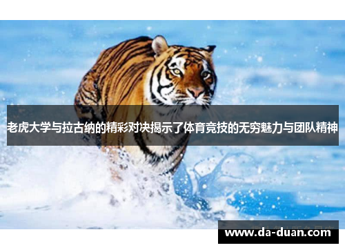 老虎大学与拉古纳的精彩对决揭示了体育竞技的无穷魅力与团队精神